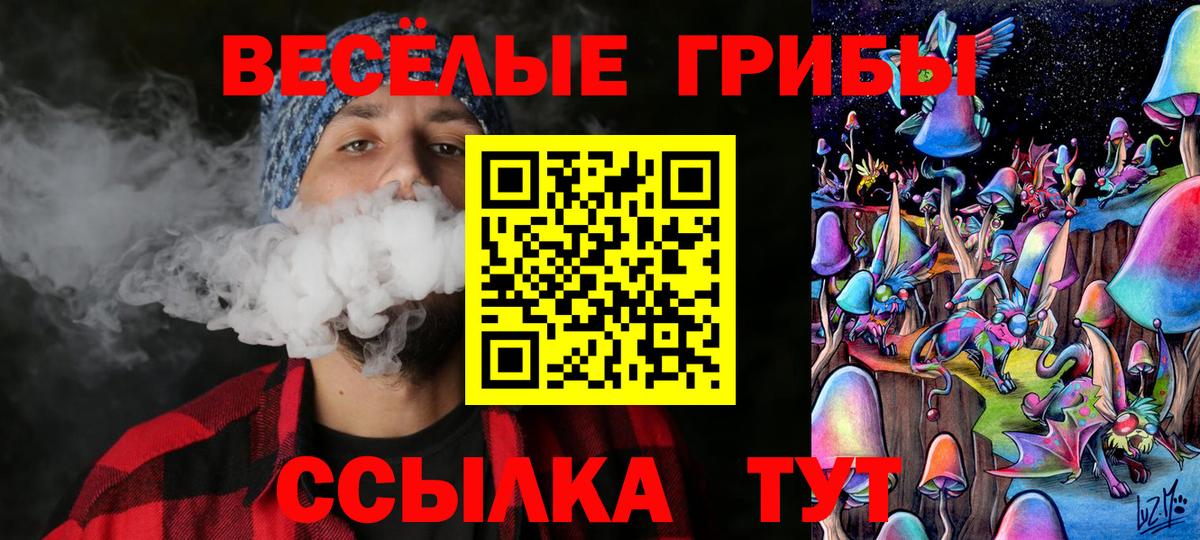 Гурьевск  Галлюциногенные грибы GOLDEN TEACHER  Вход с VPN 